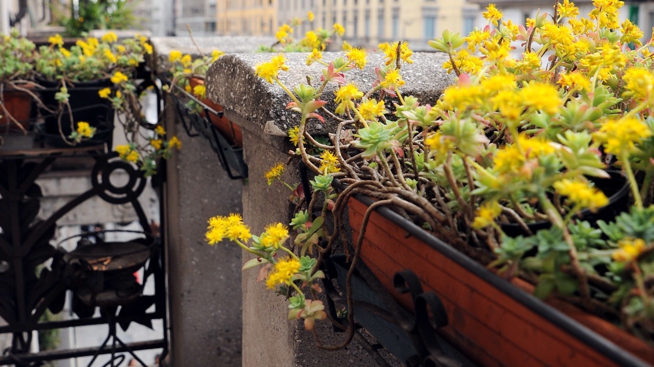 Photo of Patio Balcony in Central Station