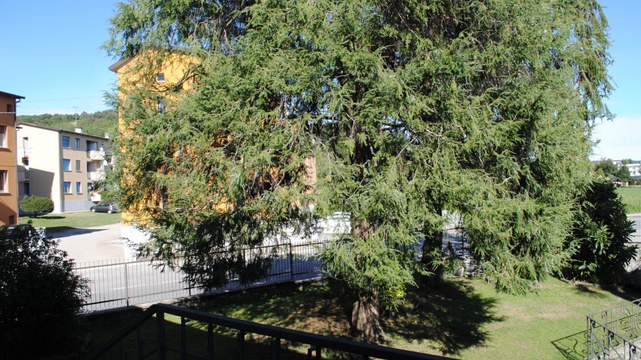 Photo of Outdoor in Sesto Calende