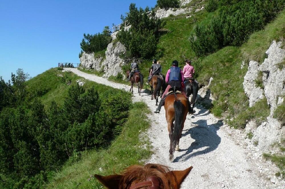 Photo of Others in Bogliaco