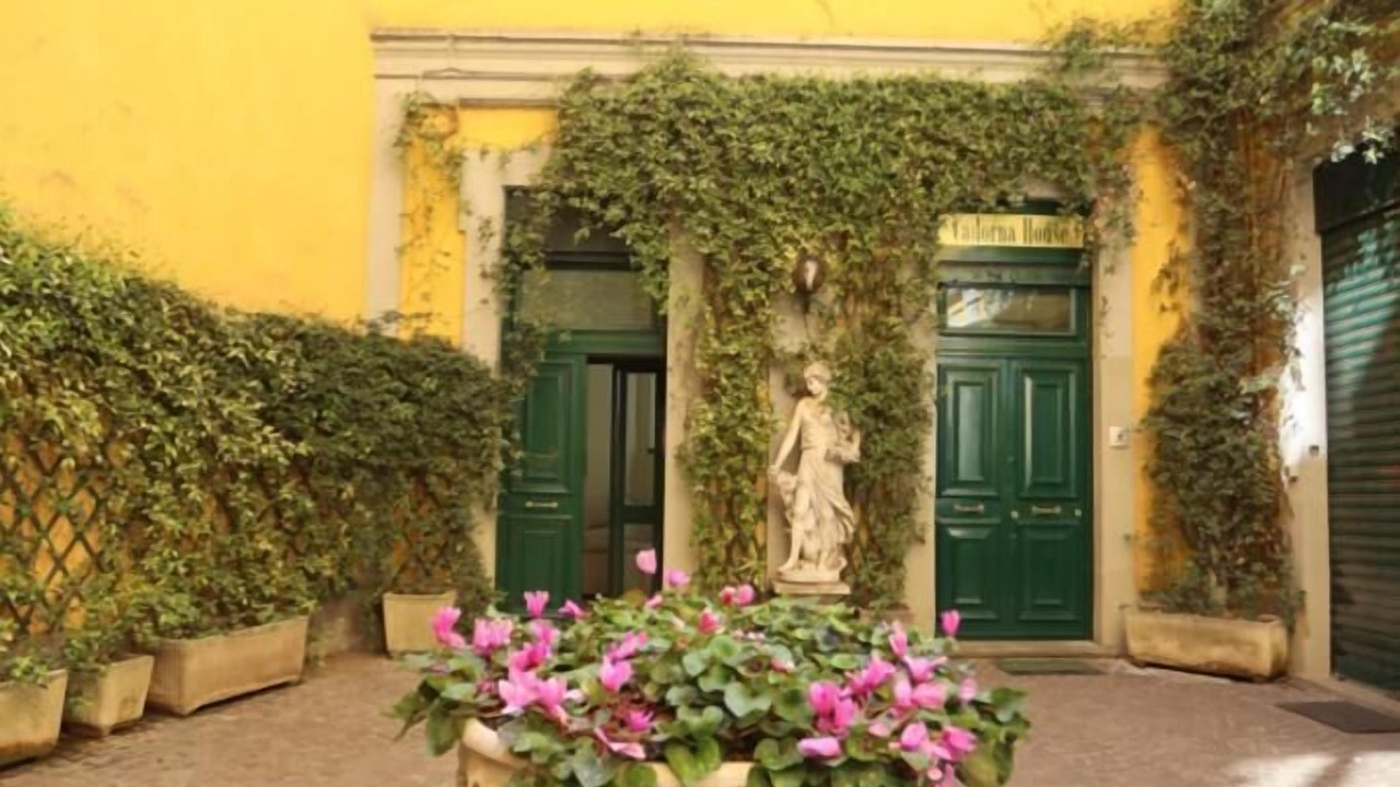 Photo of Outdoor in Magenta