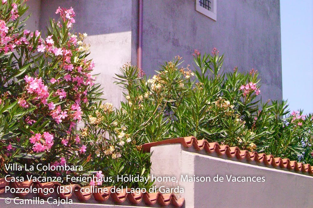 Photo of Outdoor in Pozzolengo