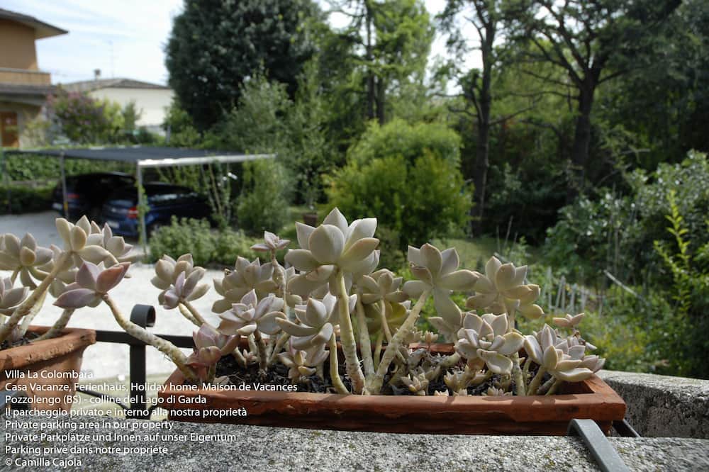 Photo of Outdoor in Pozzolengo