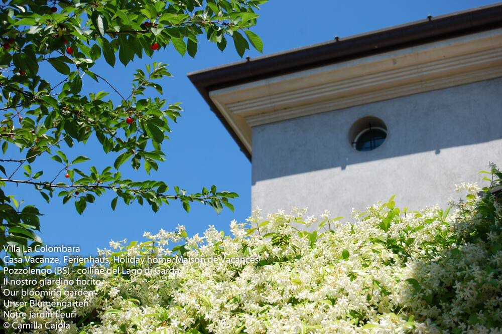 Photo of Outdoor in Pozzolengo