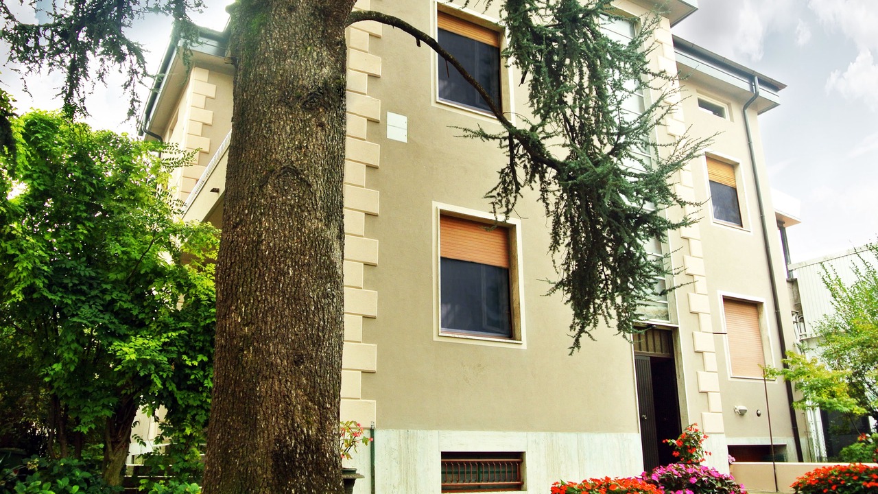Photo of Outdoor in Lodi