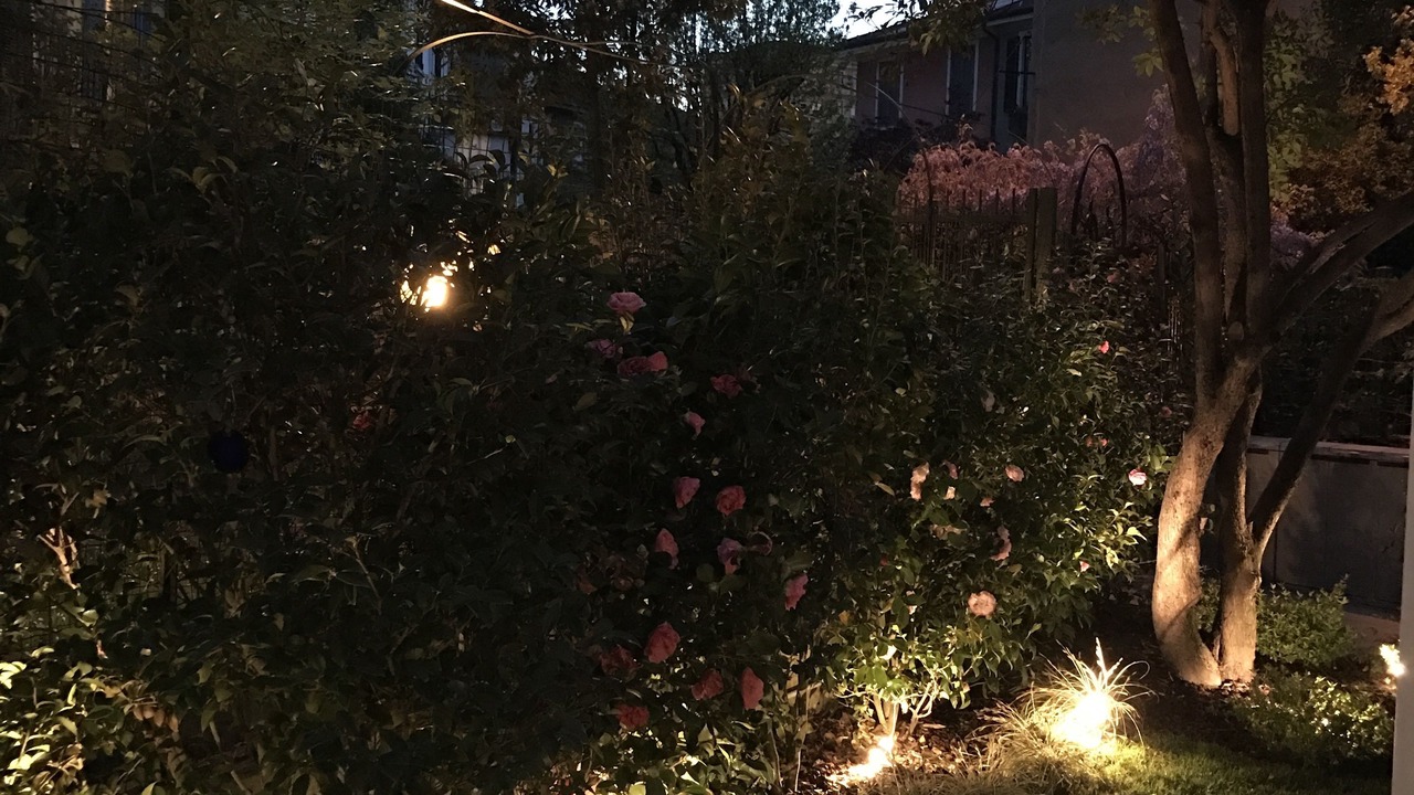Photo of Outdoor in Acquabella