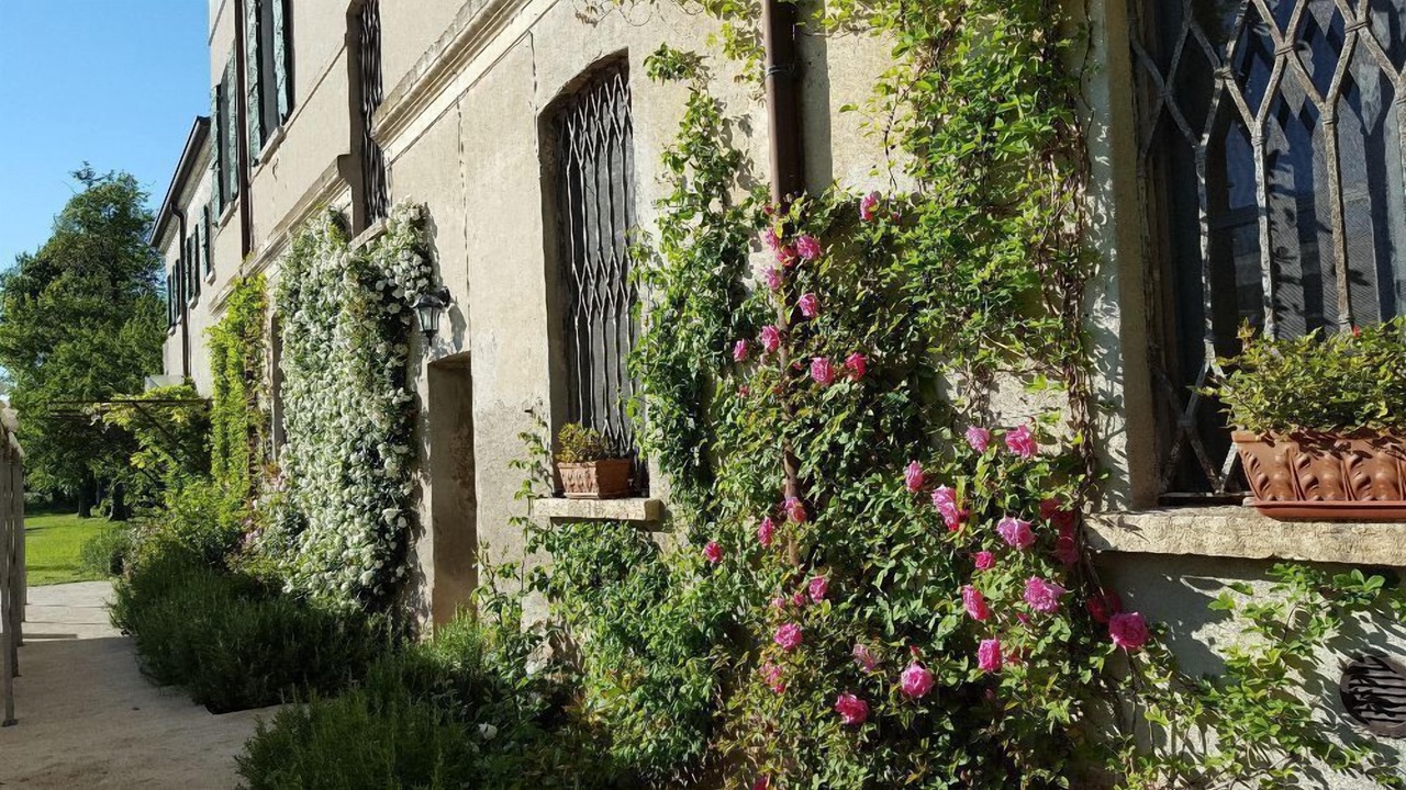 Photo of Outdoor in Bigarello