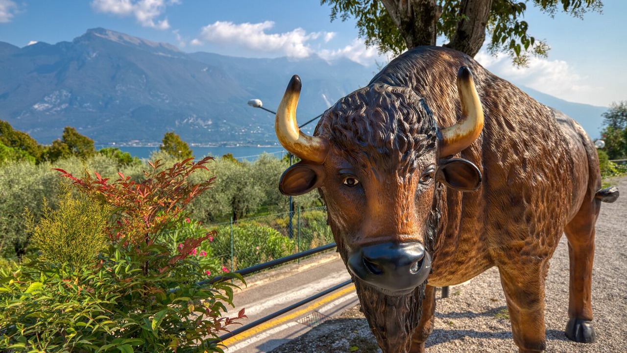 Photo of Others in Limone sul Garda