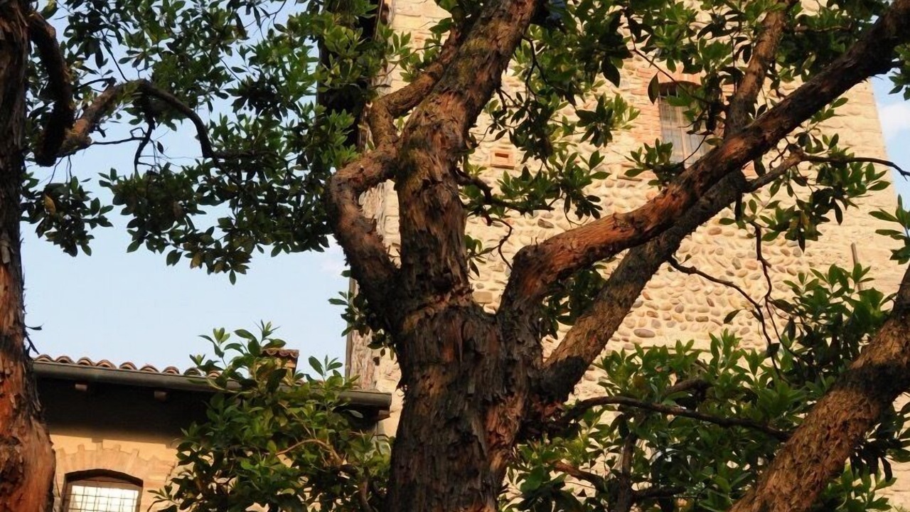Photo of Outdoor in Marne
