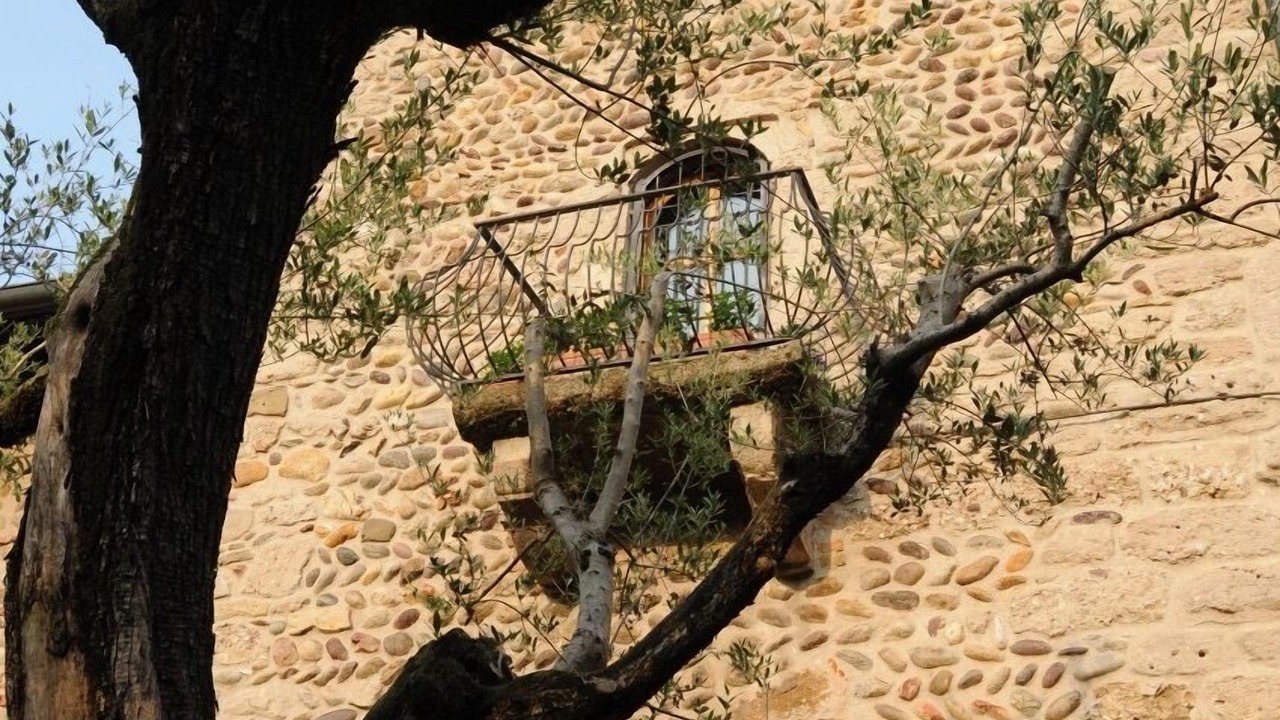 Photo of Outdoor in Marne
