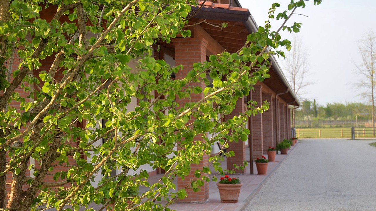 Photo of Outdoor in Ornago