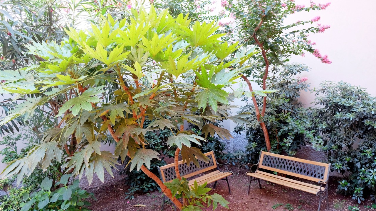 Photo of Outdoor in Giambellino