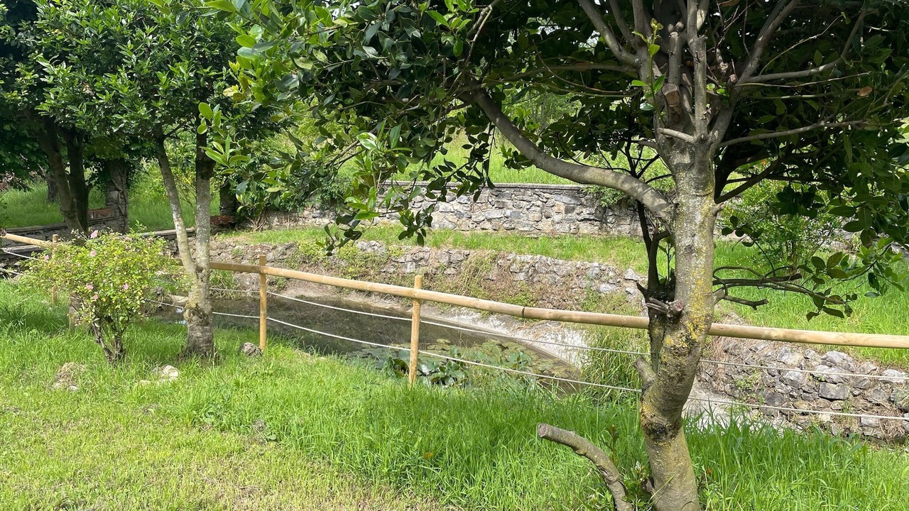 Photo of Outdoor in Cenate Sotto