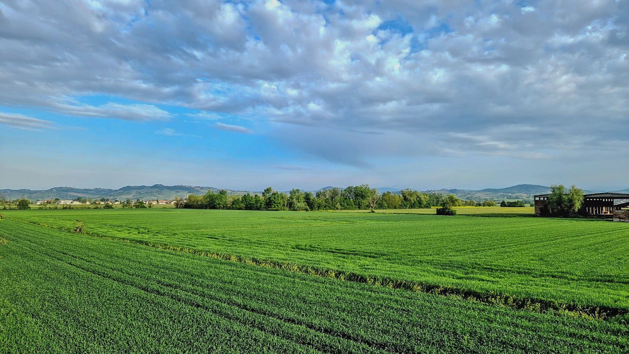 Photo of Outdoor in Sairano