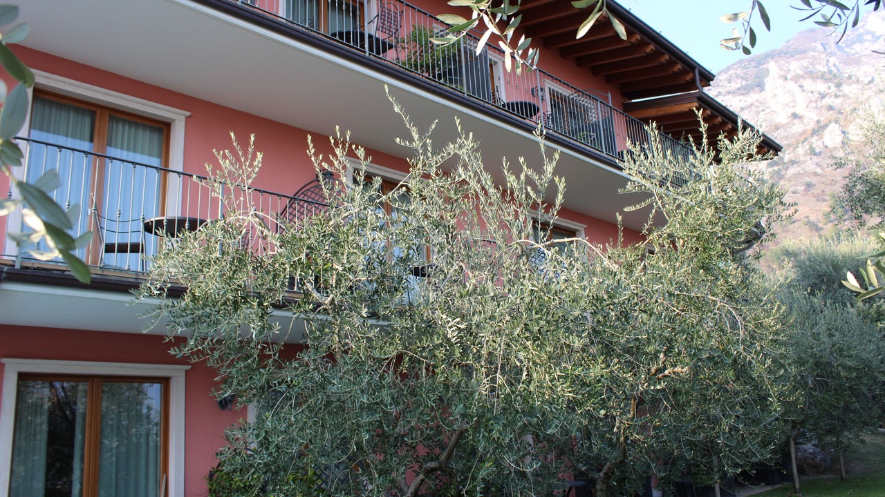 Photo of Outdoor in Limone sul Garda