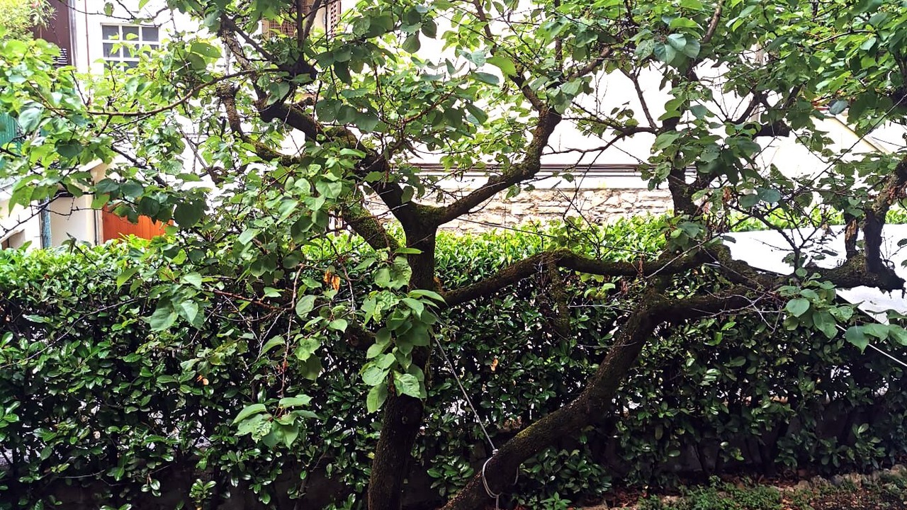 Photo of Outdoor in Citta Bassa