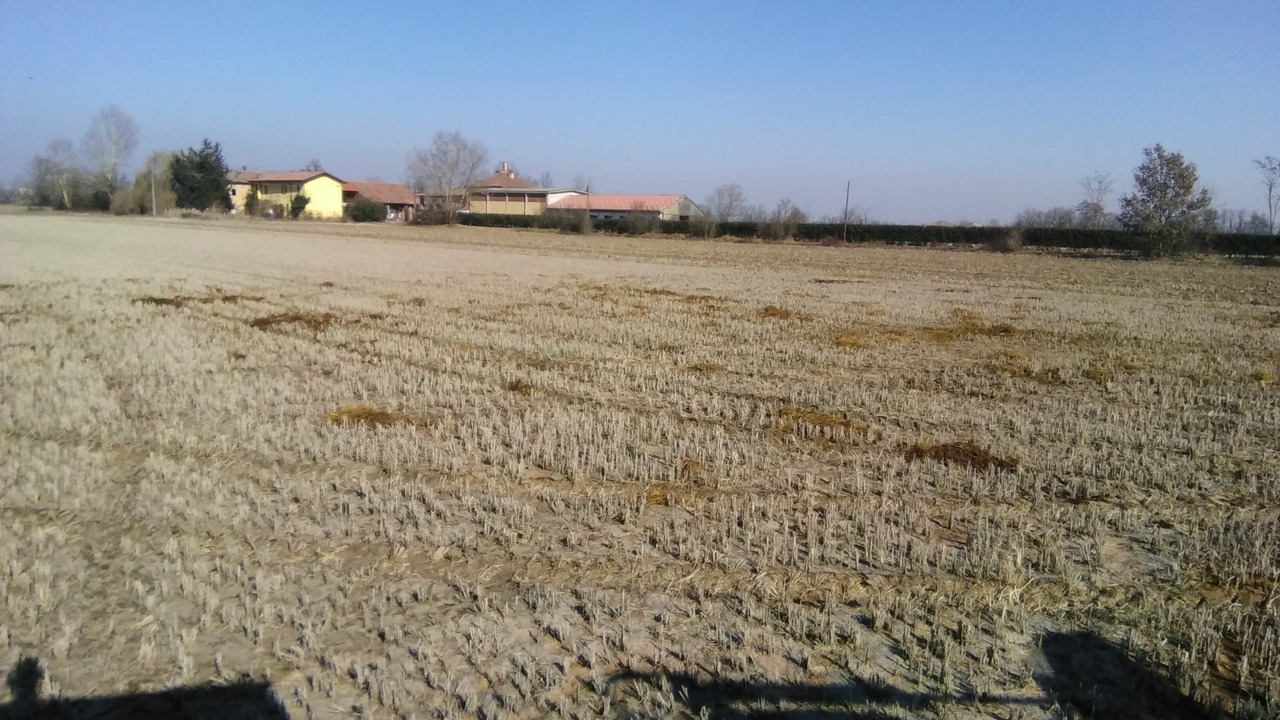 Photo of Outdoor in Rosate