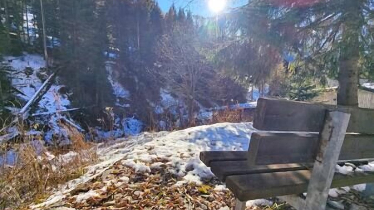 Photo of Outdoor in Foppolo