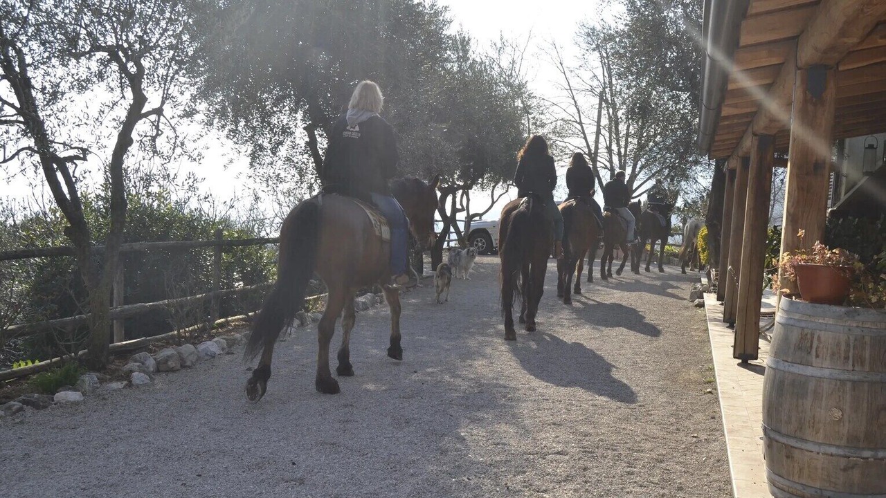 Photo of Others in Gaino