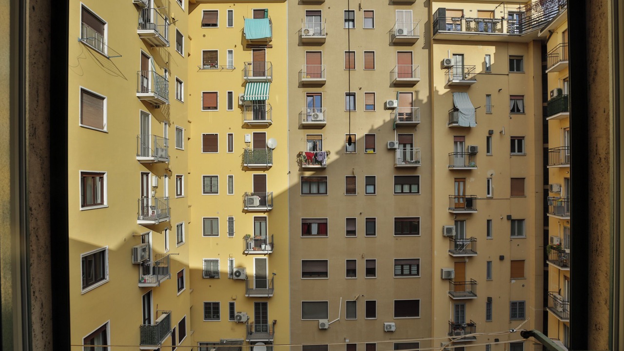 Photo of Others in Navigli