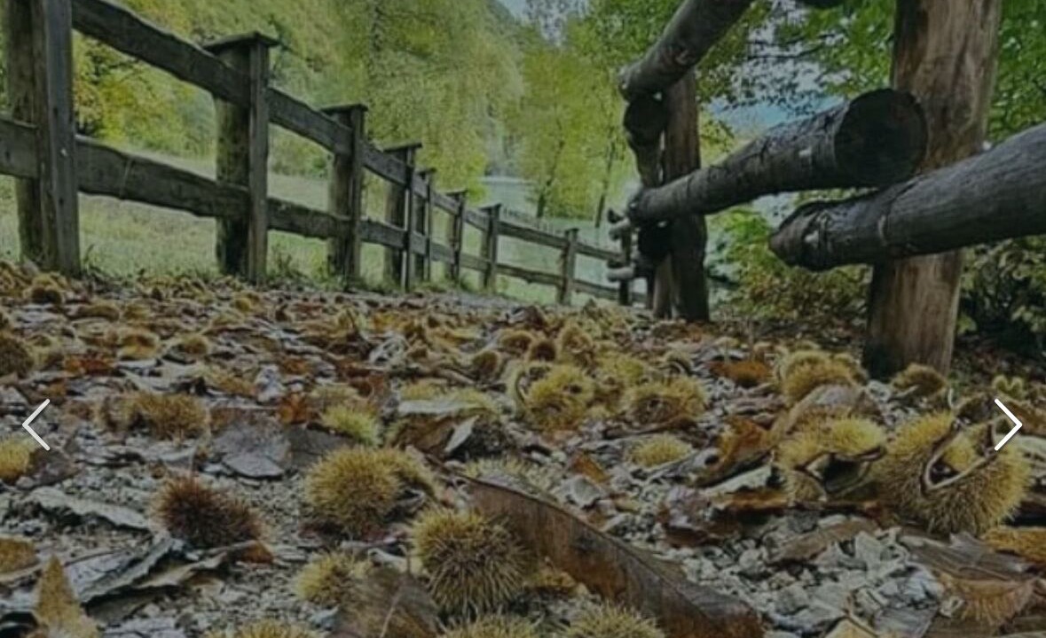 Photo of Outdoor in Edolo