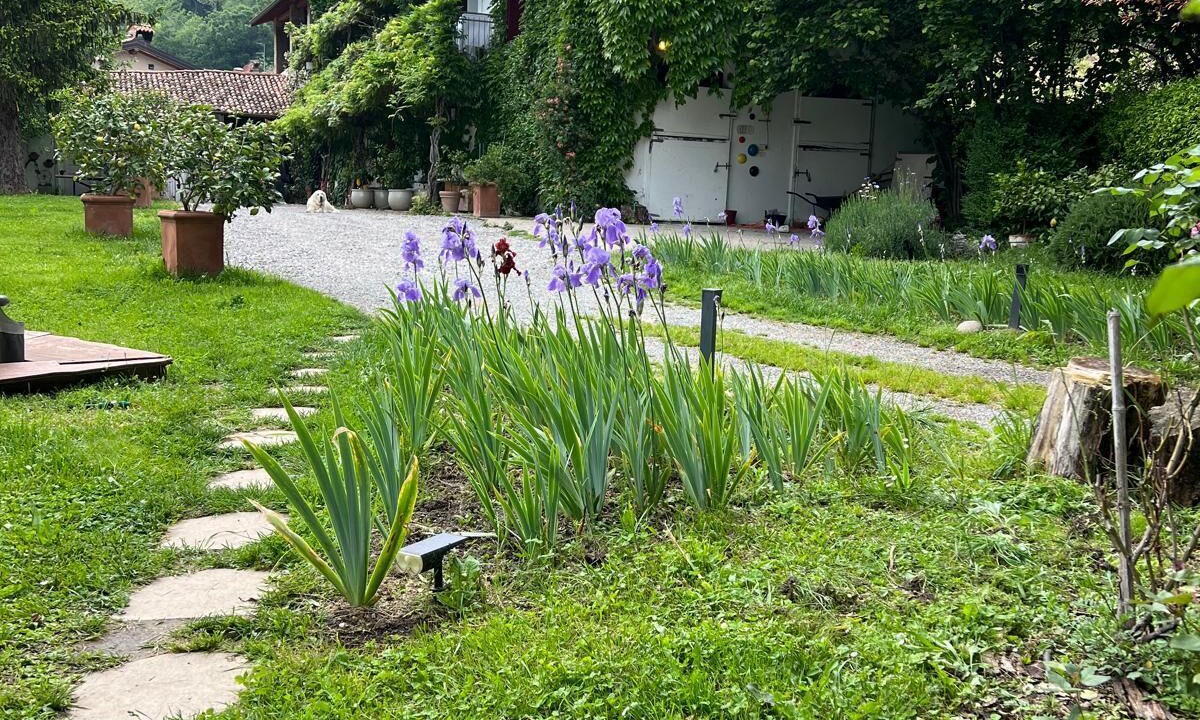Photo of Outdoor in Torre Boldone