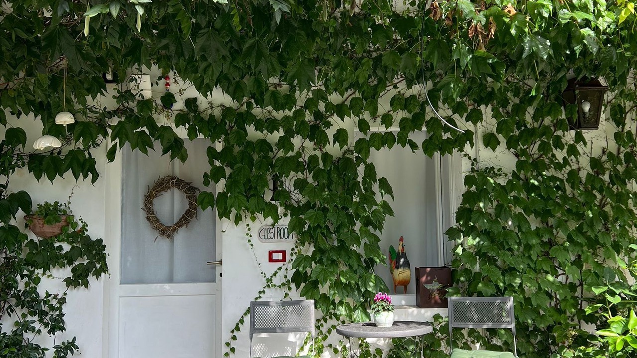 Photo of Outdoor in Torre Boldone