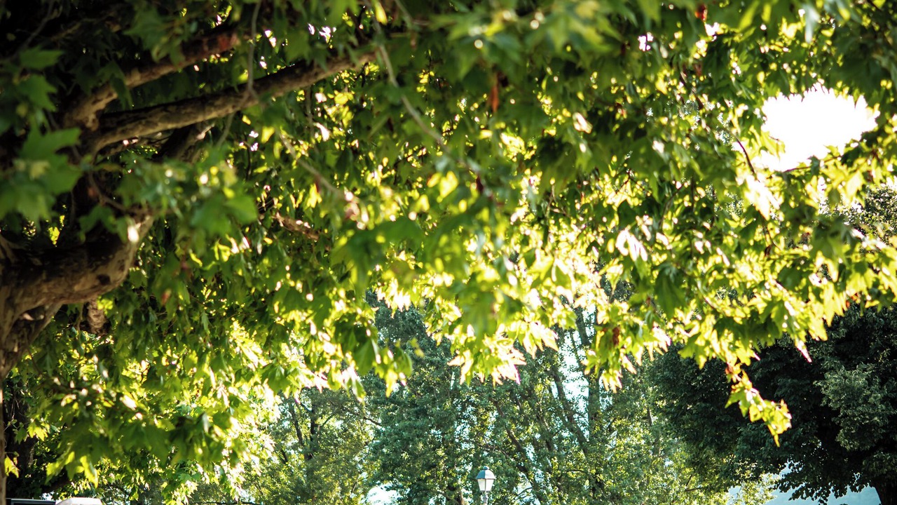 Photo of Outdoor in Maccagno