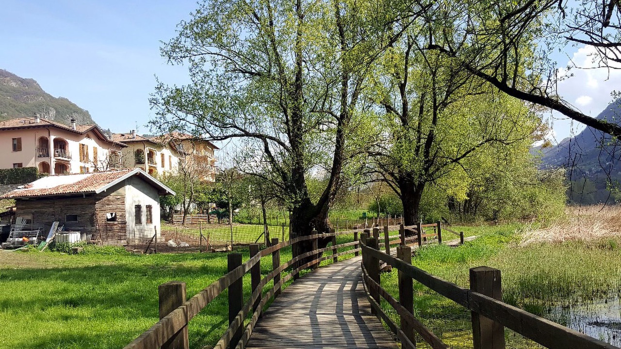 Photo of Outdoor in Carlazzo