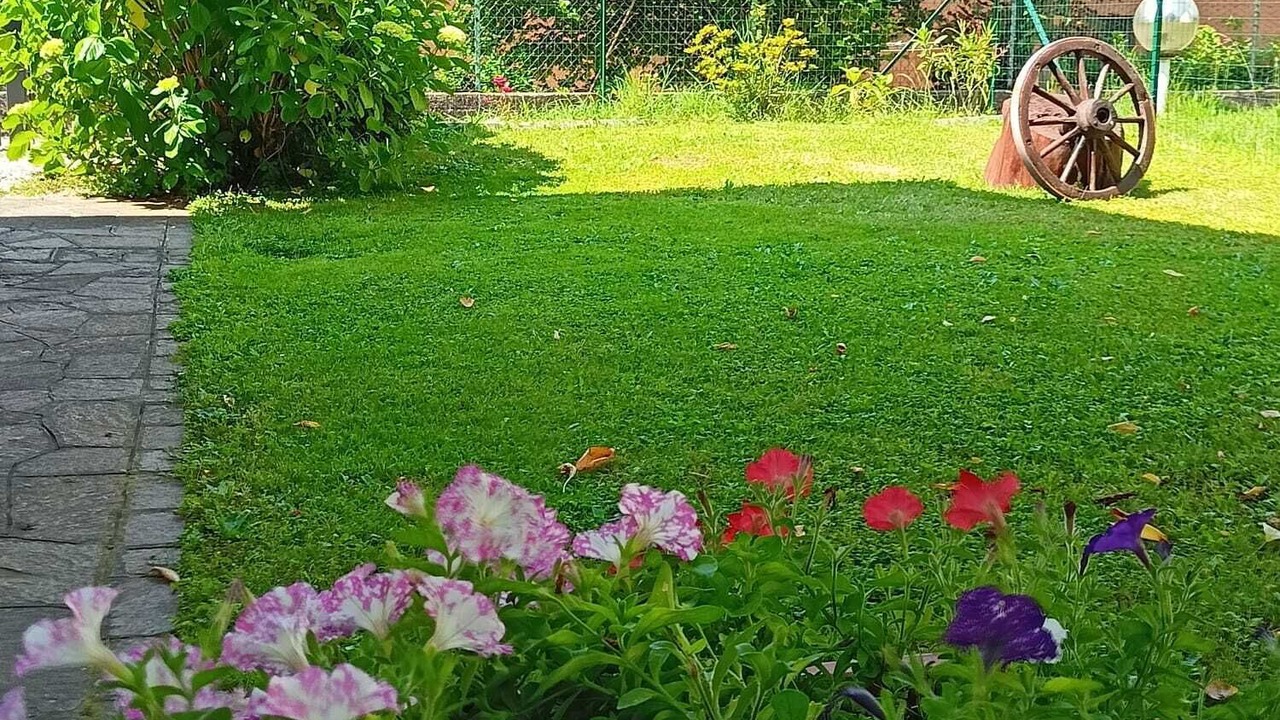 Photo of Outdoor in Albate