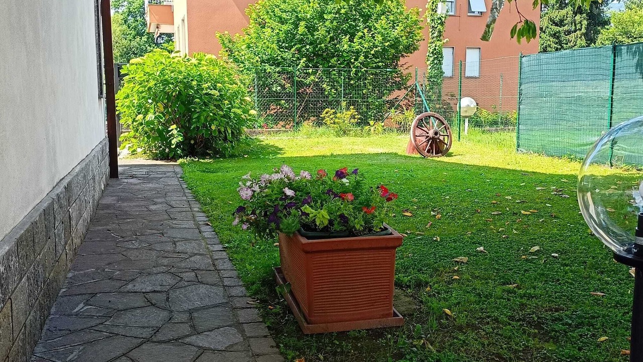 Photo of Outdoor in Albate