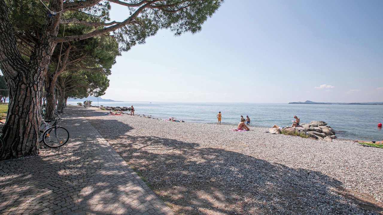 Photo of Others in Gaino