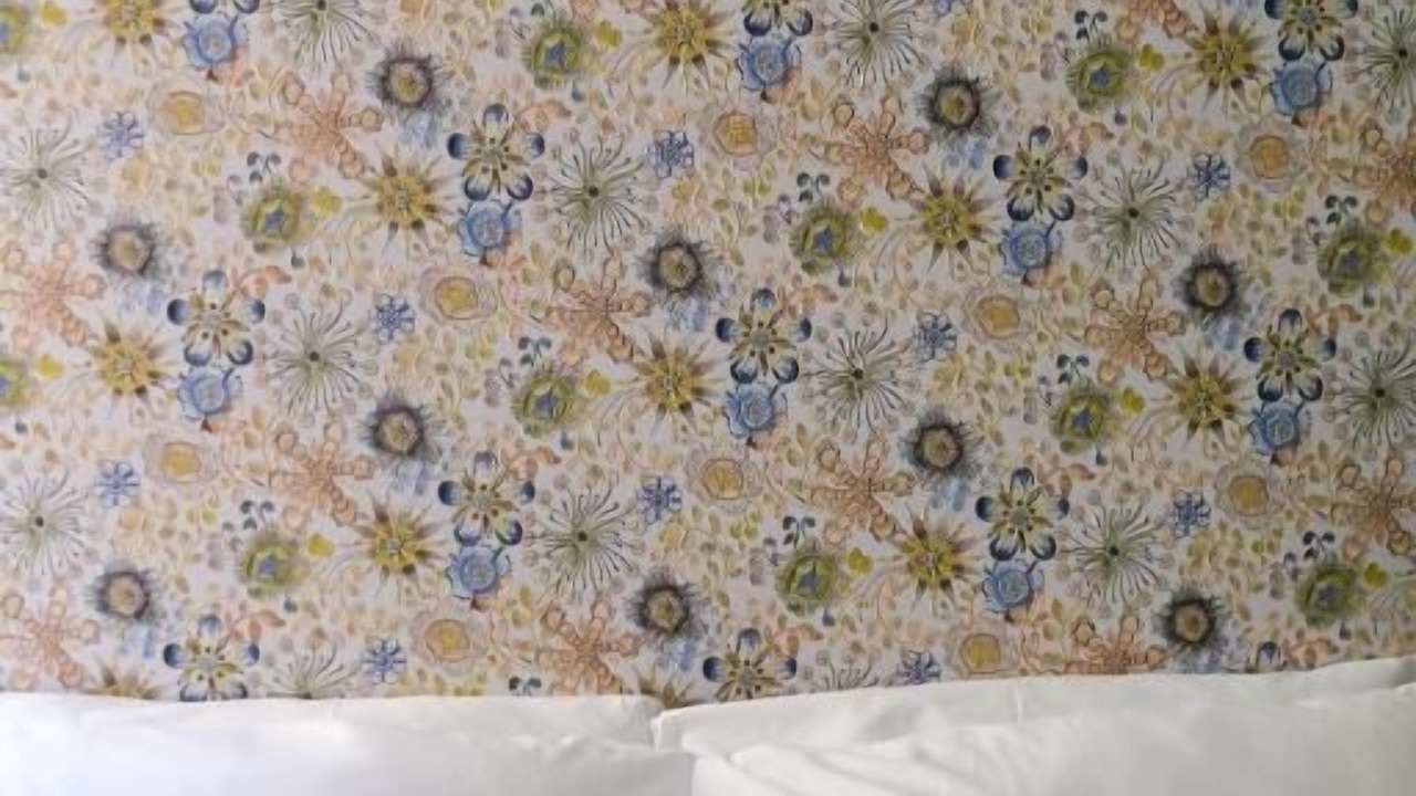 Photo of Bedroom in De Angeli