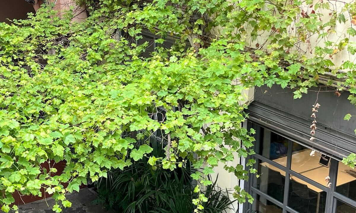 Photo of Outdoor in Giambellino
