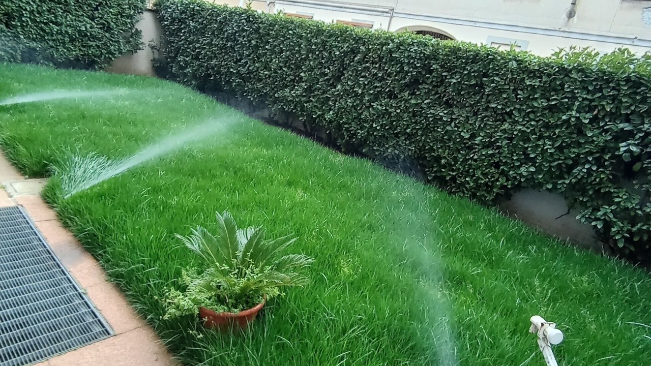 Photo of Outdoor in Lissone