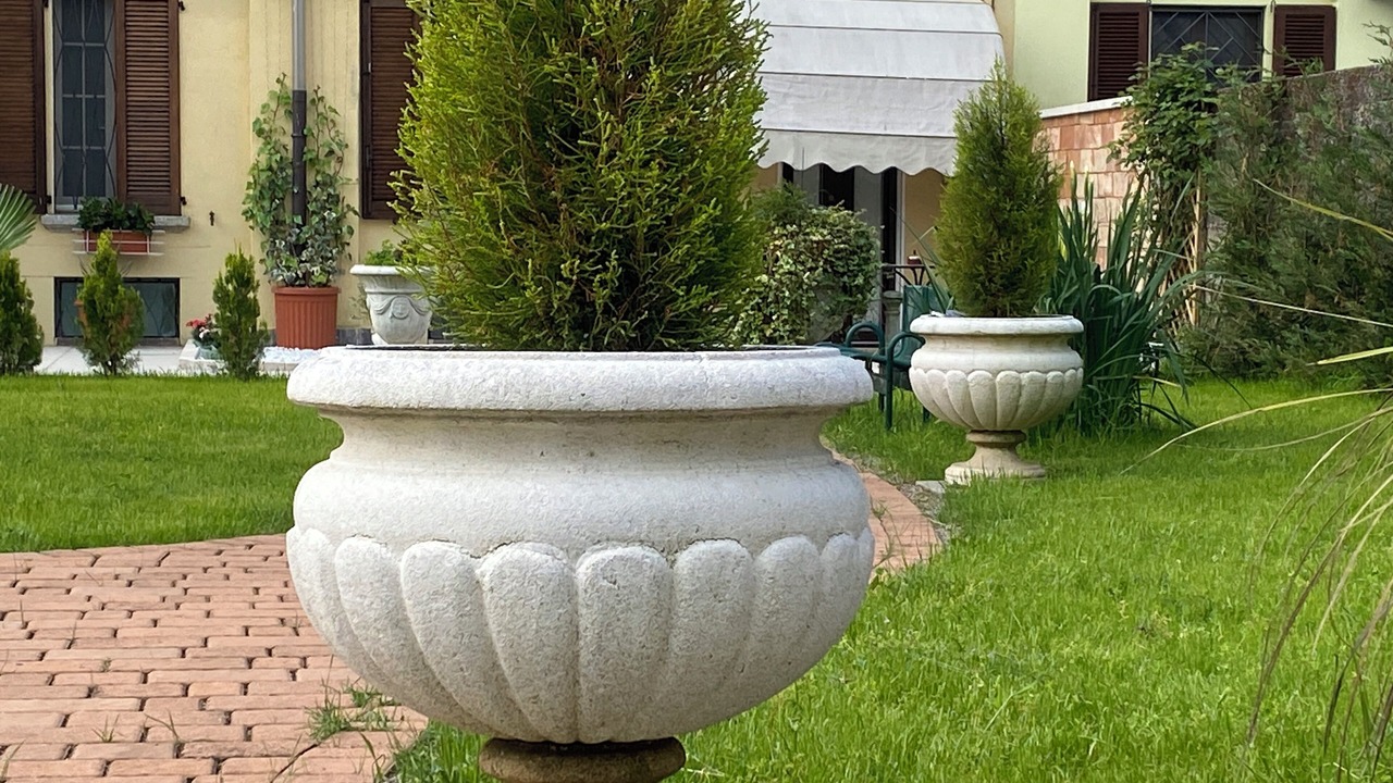 Photo of Outdoor in Buscate