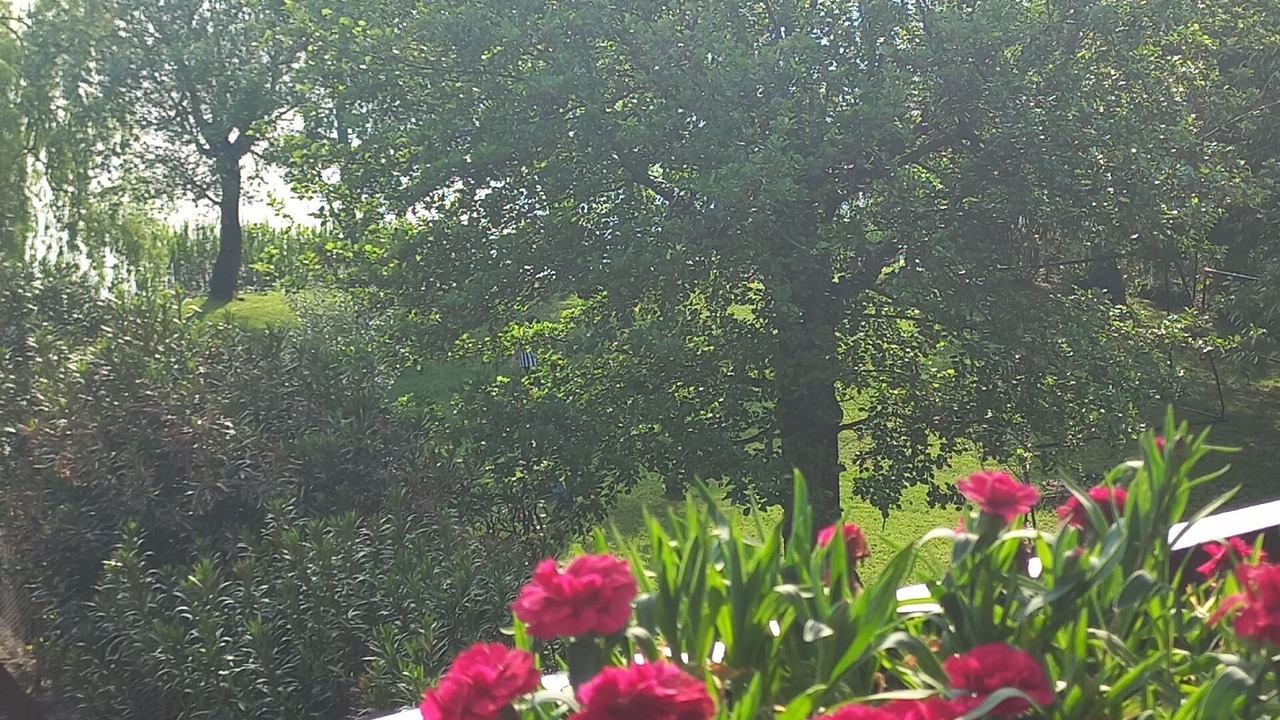 Photo of Outdoor in Morosolo