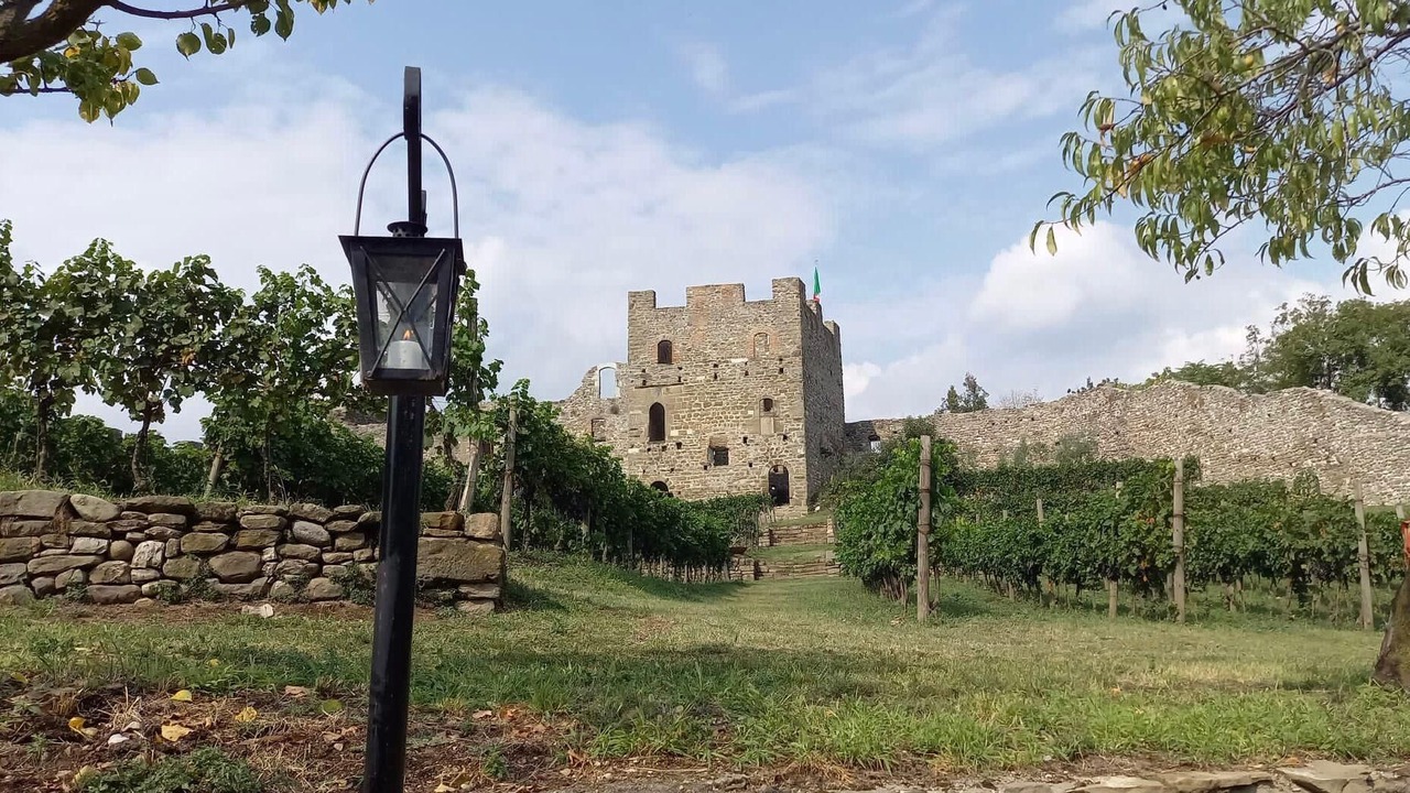 Photo of Outdoor in Paratico