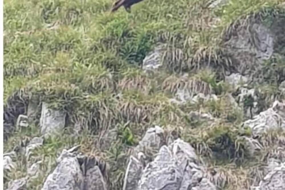 Photo of Others in Esino Lario