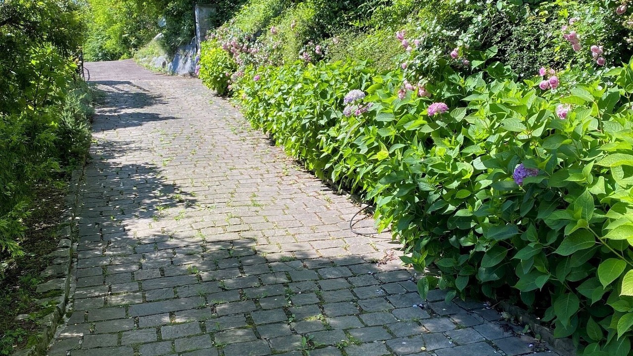 Photo of Outdoor in Naggio