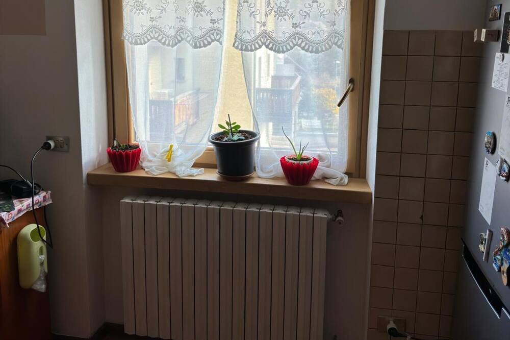 Photo of Kitchen in Valdisotto