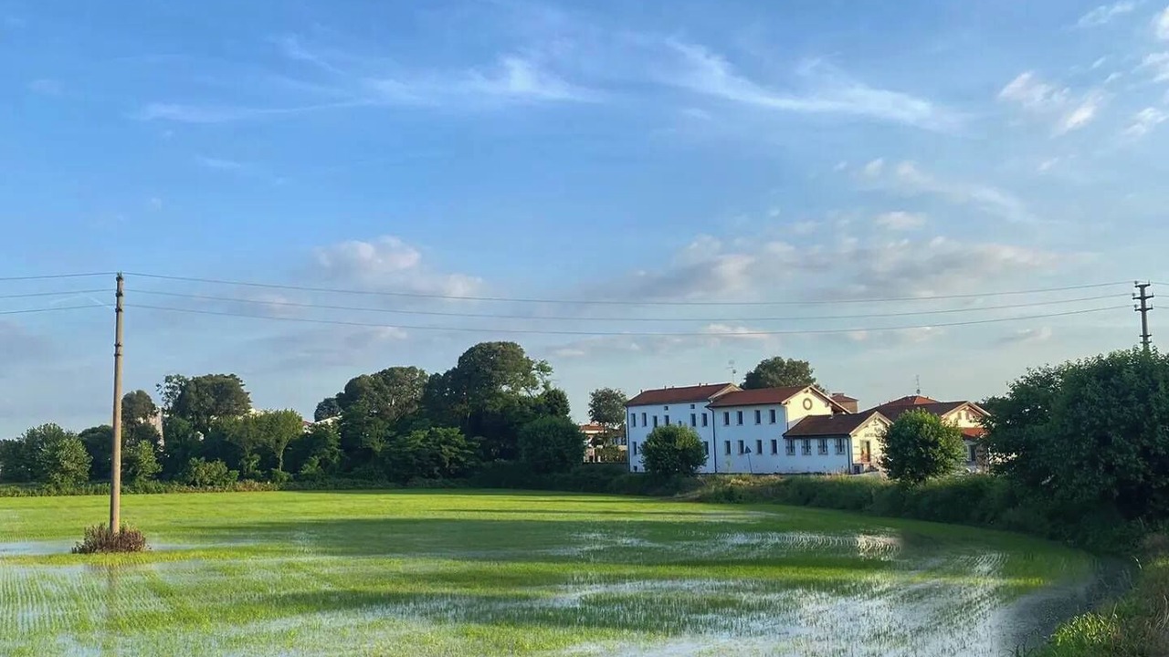 Photo of Outdoor in Vigevano