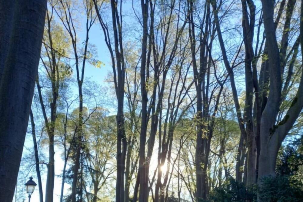 Photo of Outdoor in Cernusco sul Naviglio