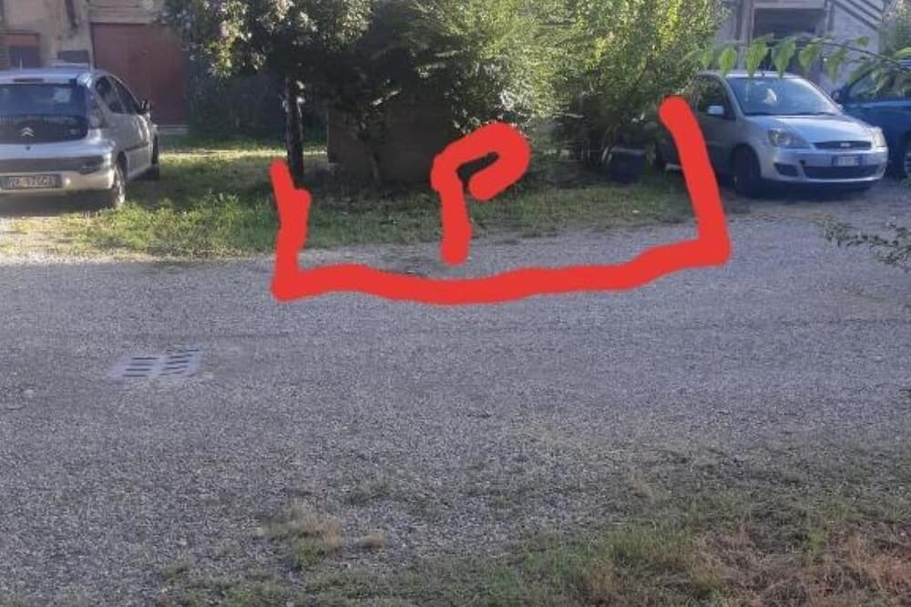 Photo of Outdoor in Bareggio
