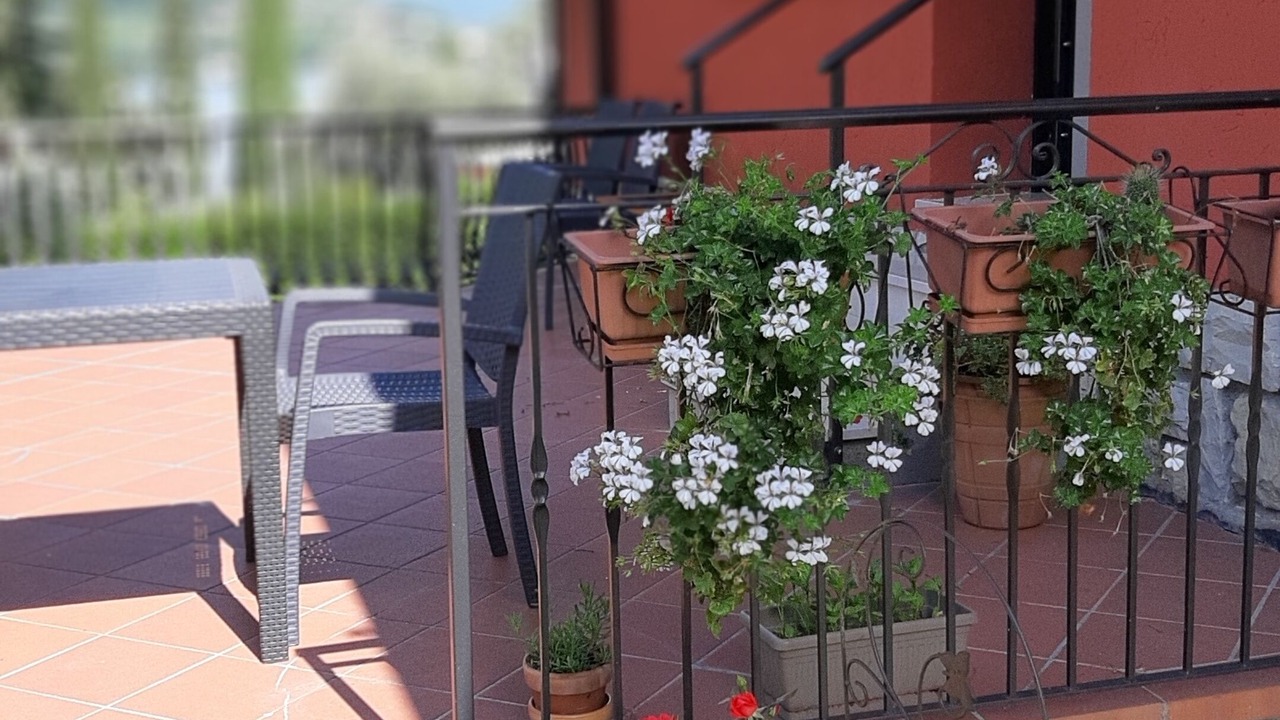 Photo of Outdoor in Sale Marasino