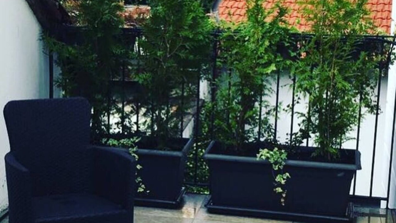 Photo of Outdoor in Gorla