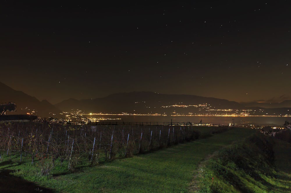 Photo of Others in Puegnago del Garda