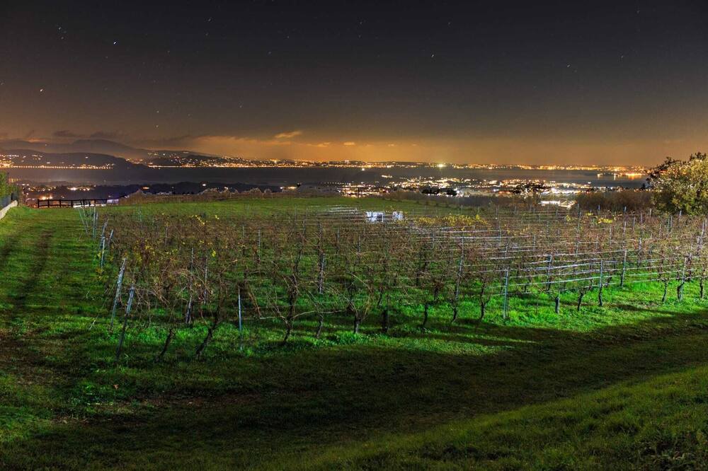 Photo of Others in Puegnago del Garda
