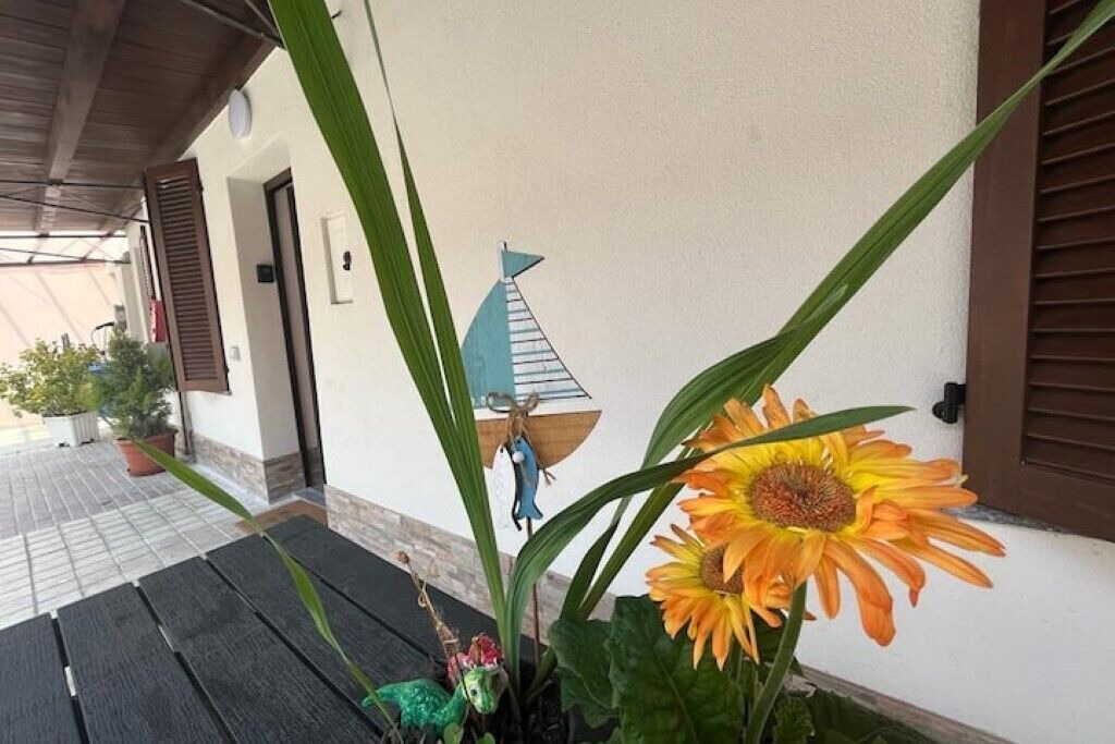 Photo of Outdoor in Lacchiarella
