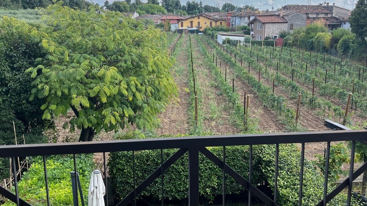 Photo of Outdoor in Desenzano del Garda