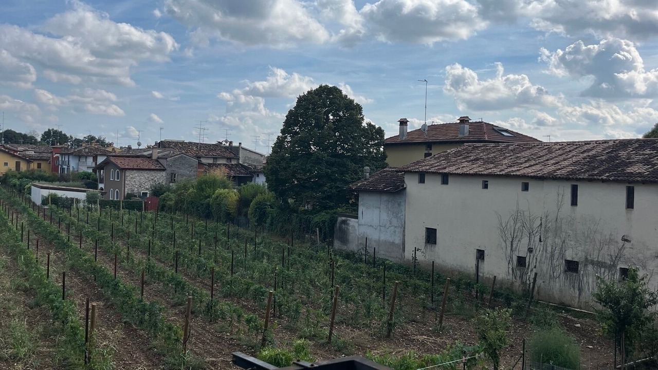 Photo of Outdoor in Desenzano del Garda